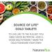 NaturesPlus Source of Life Gold Multivitamin - 180 Tablets | Vitamins D3, B12 & K2 | Blood, Bone & Immune Support | Vegetarian & Gluten Free - Buy Online on GoSupps.com