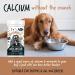 Bugalugs Deer antlers Supplement dog food toppers Powder for Dogs & puppy high in protein dog food fibre vitamins & minerals. 100% Natural reindeer antlers dog supplements use with licky mat (70g) 70 g (Pack of 1) - Buy Online on GoSupps.com