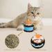 AKlamater Cat Catnip Toys Pet Birthday Cake for Cat Teething Chew Toys for Kitten Plush Gift for Cats Kitten (S) - Buy Online on GoSupps.com