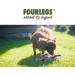 Fourles Natural Kausnack for Dogs - 100% Deer Antler Chew Treats | Size M Halved | High in Minerals & Nutrients | International Shipping Available - Buy Online on GoSupps.com