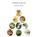 Brume Deo 24-Hour Deodorizing Mist - Gentle Care for Body & Intimate Sensitive Skin | 35ml - Buy Online on GoSupps.com