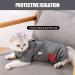 HEYWEAN Cat Professional Surgical Recovery Suit for Abdominal Wounds Skin Diseases  After Surgery Wear  E-Collar Alternative for Cats  Home Indoor Pets Clothing Medium Grey - Buy Online on GoSupps.com