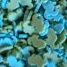 A Pinch Of - Mermaid Green and Turquoise Seahorse Cake Topper Sprinkles - 25g Edible Matt Cupcake Decorations - Perfect for Weddings Christenings & Parties