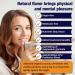 Mushroom Hot Cocoa with Magnesium Glycinate Reishi L-Theanine Ashwagandha Lemon Balm Lavender Cacao Powder Organic Hot Chocolate Supplement for Sleep Relaxation No Melatonin Vegan 2P - Buy Online on GoSupps.com