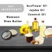Solid Cologne Men's Bay Rum Cologne for Men Wax Bay Rum Solid Cologne for men Solid Perfume with a Bay Rum and coconut scent (1 Ounce Bay Rum Mens Cologne Balm) - Buy Online on GoSupps.com