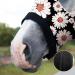 Harrison Howard Soft Fleece Stretchy Horse Head Hood with Zipper - Comfortable All-Covered Design - Large Daisy - International Shipping Available - Buy Online on GoSupps.com