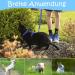 Adjustable Nylon Cat Leash & Harness Set - Soft Blue Cat Dishes for Kittens Puppies & Rabbits - 2 Piece Kit - Buy Online on GoSupps.com