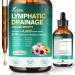 VivoNu Lymphatique Gouttes - Soutient l'Absorption Syst me Immunitaire - l' quilibre et le Bien- tre - Contre Jambes Lourdes - 100% Naturel - 60 ml - Sans OGM