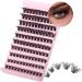 Riya Lash Clusters 120Pcs DIY Eyelash Extenisons Natural Look Wispy Clusters Lashes 8-16MM D Curl Individual Lashes DIY at Home Wispy Fluffy Lash Extensions Reusable Individuals DIY at Home (03) RY-03 - Buy Online on GoSupps.com