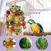 Natural Corn Cob Chewing Bird Toys for Small & Medium Macaws, African Greys, Amazon Parrots, Love Birds | Cage Accessories - Buy Online on GoSupps.com