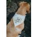 MaySunset Soon to Be Big Brother Triangular Scarf for Dogs - White Crown White. Small - Buy Online on GoSupps.com