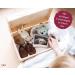 Personalized Wooden Baby Souvenir Box | Forest Animals | Custom Name Date & Size | Perfect Baby Gift - 30x20x14 cm - Buy Online on GoSupps.com