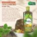 Dabur Vatika Naturals Enriched Hair Oil - Moisturizing & Strengthening Hair Oil for Healthy Scalp and Silky Hair (Olive Pack of 3) - Buy Online on GoSupps.com