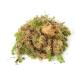 Fresh Sphagnum Moss Live 1 kg - Ideal for Orchids & Terrariums | International Shipping Available - Buy Online on GoSupps.com