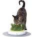Catit Senses Grass Garden - 1.63 lbs | Natural Cat Grass for Indoor Cats - Buy Online on GoSupps.com