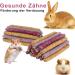 Fantesi 18-Piece Timothy Hay Sticks - Premium Rabbit Guinea Pig & Chinchilla Toys | 3 Delicious Flavors for Ultimate Fun - Buy Online on GoSupps.com