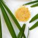 Nuvia Organics USDA Certified Carnauba Wax - 100% Vegan Food Grade 16oz - Ideal for DIY Cosmetics & Various Uses | International Shipping - Buy Online on GoSupps.com