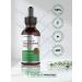 Black Cohosh Root Tincture 2 fl oz | Vegetarian Liquid Extract | Gluten Free - Buy Online on GoSupps.com