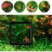 ZRDR Fish Feeding Ring 2 Pack - Aquarium Floating Food Feeder for Small Round and Square Tanks - Reduces Waste and Maintains Water Quality - Buy Online on GoSupps.com