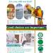 Kenond Automatic Bird Feeder - No-Mess Finch Foraging Feeders - Acrylic Parrot Integrated Seed Feeder - Small Birds Cage Accessories (2 Pack) - Buy Online on GoSupps.com