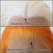 Orange Lace Front Wig - Long Straight Synthetic Hair for Black Women - Heat Resistant Fiber - Cosplay and Daily Wear - Buy Online on GoSupps.com