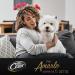 Cesar Classic Recipes Dog Food: Juicy Beef & Chicken - 150g - 14 Bowls - International Shipping Available - Buy Online on GoSupps.com