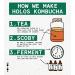 Holos Kombucha Elderflower 12 x 330ml Bottles | Small-Batch, Low-Sugar & Unpasteurized with All-Natural Ingredients - Buy Online on GoSupps.com