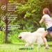 Vetrition Everyday Collagen for Dogs - Joint Supplements for Hip & Joint Care - Improves Skin, Mobility - Vet Approved - 150g Powder - Buy Online on GoSupps.com