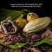 GreatVita Organic Cocoa Powder 800g | Pure Raw Powder for Drinks & Baking | Natural Additive-Free - Buy Online on GoSupps.com