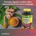 Turmeric Curcumin with Ginger Powder- 500mg Vegetarian Capsules 180ct (Pack of 2) Boxed by Fusion Shop Store - Buy Online on GoSupps.com