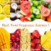 ASAKUKI Fruity Fruit Fragrance Oils 10*10ML Essential Oils Gift Set - Fresh Summer Scents for Candle & Soap Making - Lemon, Mango, Coconut, Strawberry, Watermelon, Pineapple, Green Apple & More - Buy Online on GoSupps.com