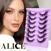 Buy ALICE Fox Eye Lashes - 3D Wispy Cat Eye & Anime Cosplay Eyelashes | Fluffy Manga False Eyelashes - 7 Pairs A001 - Buy Online on GoSupps.com