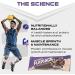 SCI-MX Chocolate Protein Flapjack 12 x 80 g - 12g Protein per Flapjack High Fibre + Oaty Goodness for Energy Boost - Guilt Free Snack made from Oats - Source of Protein - Suitable for Vegetarians FLAPJACK -Chocolate - Buy Online on GoSupps.com