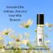 Wild Blossom Roll-on Perfume with Ylang-Ylang Essential Oil Alcohol-Free All-Natural Organic Long-Lasting Fragrance - Travel-Size Perfume for Women - TSA Approved 0.33 oz / 10 ml - Buy Online on GoSupps.com