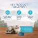 Blue Buffalo Wilderness High Protein Grain Free Kitten Dry Cat Food - Chicken, 5lb Pack - Buy Online on GoSupps.com