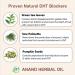 Anand Herbal Hair Oil for Thick, Shiny Hair | Regenerating Formula - Buy Online on GoSupps.com