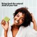 SoapFactory Organic Shampoo Bar Set - 100% Natural Vegan Hair Soaps for Men & Women | Charcoal Lemongrass Aloe Vera Tea Tree & Rosemary (5 Pack - Buy Online on GoSupps.com