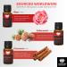 Coolcow Essential Oils Set for Diffusers - 100% Natural Aromatherapy Oils (6x10ml) - Geranium Rosemary Rose Cedar Cinnamon Vanilla - Perfect for Massage & Relaxation - Buy Online on GoSupps.com