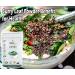 CROW Curry Leaf Powder + Green Chilli Powder (Hari Mirchi Powder) - 200 GM Each (Super Saver Combo Pack) by B Naturall - Buy Online on GoSupps.com