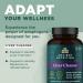 Ancient Nutrition Liver Detox Supplement with Milk Thistle & Dandelion Root - 60 Count - Buy Online on GoSupps.com