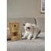 Lucybalu 6x Matatabi Sticks for Cats | Natural Dental Care & Chewing Toys | Freshen Breath with Matatabi Wood | Eco-Friendly Cat Chew Sticks - Buy Online on GoSupps.com