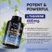 L Theanine 400 mg | L-Theanine Stress Relief | Extra Strength Supplement | Made in USA | Relaxation Sleep & Calm Support | For Men & Women | Plant Based Non-GMO & Gluten-Free | 120 Vegan Capsules 120 Count (Pack of 1) - Buy Online on GoSupps.com