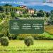 BENVOLIO 1938 Organic Extra Virgin Olive Oil 500ml - 100% ITALIAN Cold Pressed - Buy Online on GoSupps.com
