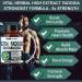 Ultra Fadogia Agrestis 10:1 Extract with Tongkat Ali Capsules - Maximum Strength Energy and Muscle Booster - 9570mg Equivalent - with Ginseng, Maca Root, Tribulus - 90 Count - Buy Online on GoSupps.com