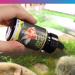 NT Labs Pro-F Fancy Goldfish 50g - Buy Online on GoSupps.com