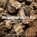 Harpagophytum Bio 2000 - Painful joints Flexibility Mobility - Highly dosed food supplement - 2000mg/day - 20 ampoules - Made In France - Vegan - Santarome Bio - Buy Online on GoSupps.com