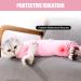 Heywean Post-Surgery Recovery Suit for Cats - Long-Sleeved Medical Shirt | Anti-Trim Alternative to Neck Collars | Pink - Buy Online on GoSupps.com
