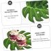60pcs Monstera Decoration hawaiian cake toppers jungle leaves cake decor hawaiian leaf cake decoration fake palm leaf leaves decor leaf cupcake topper Polyester Cake stand wedding - Buy Online on GoSupps.com