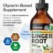 BIO KRAUTER Ginger Root - Liquid Drops Ginger Extract 655 mg per Serving 4 Fl.Oz 56-Day Supply - Pure Vegan Zingiber Officinale for Digestive Support & Daily Wellness - Alcohol & Sugar Free 4 Fl Oz (Pack of 1) - Buy Online on GoSupps.com