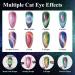 MIZHSE 9D Cat Eye Gel Nail Polish Set - 6 Colors with 2 Magnetic Sticks | Chameleon Galaxy Effect | Soak Off Nail Art Gift for Ladies - Buy Online on GoSupps.com